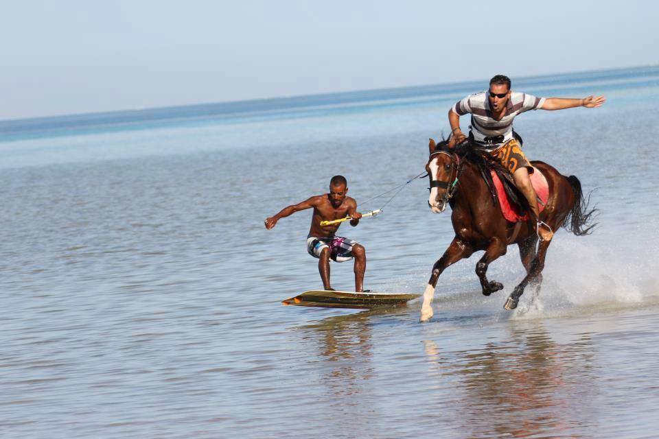 kite horse