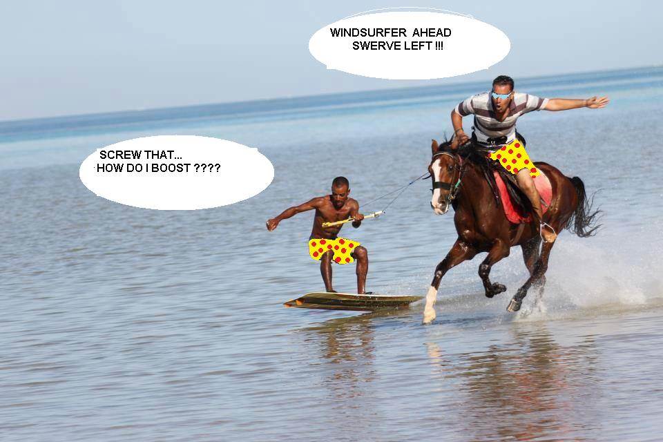 horse