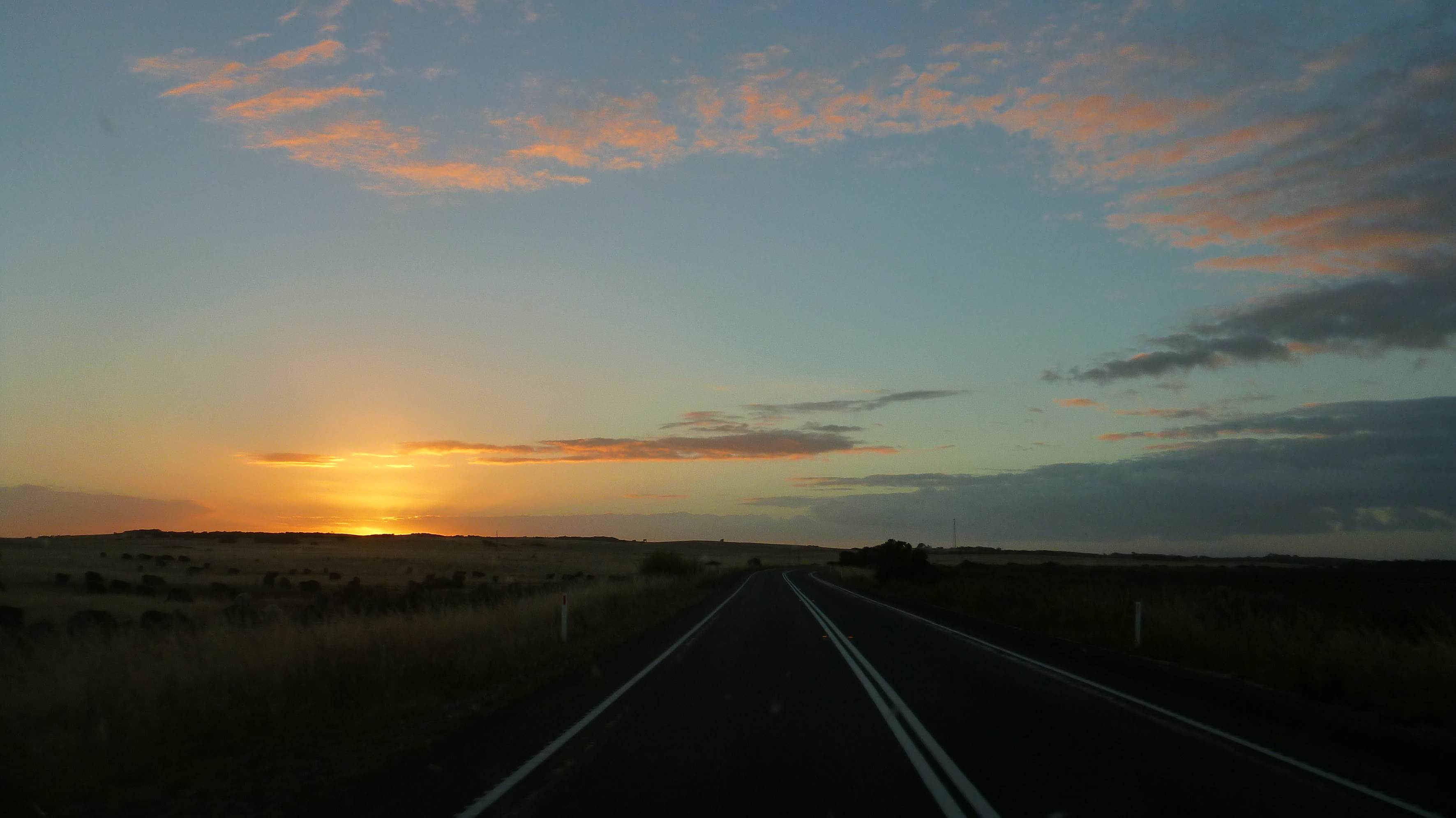 Road Trip