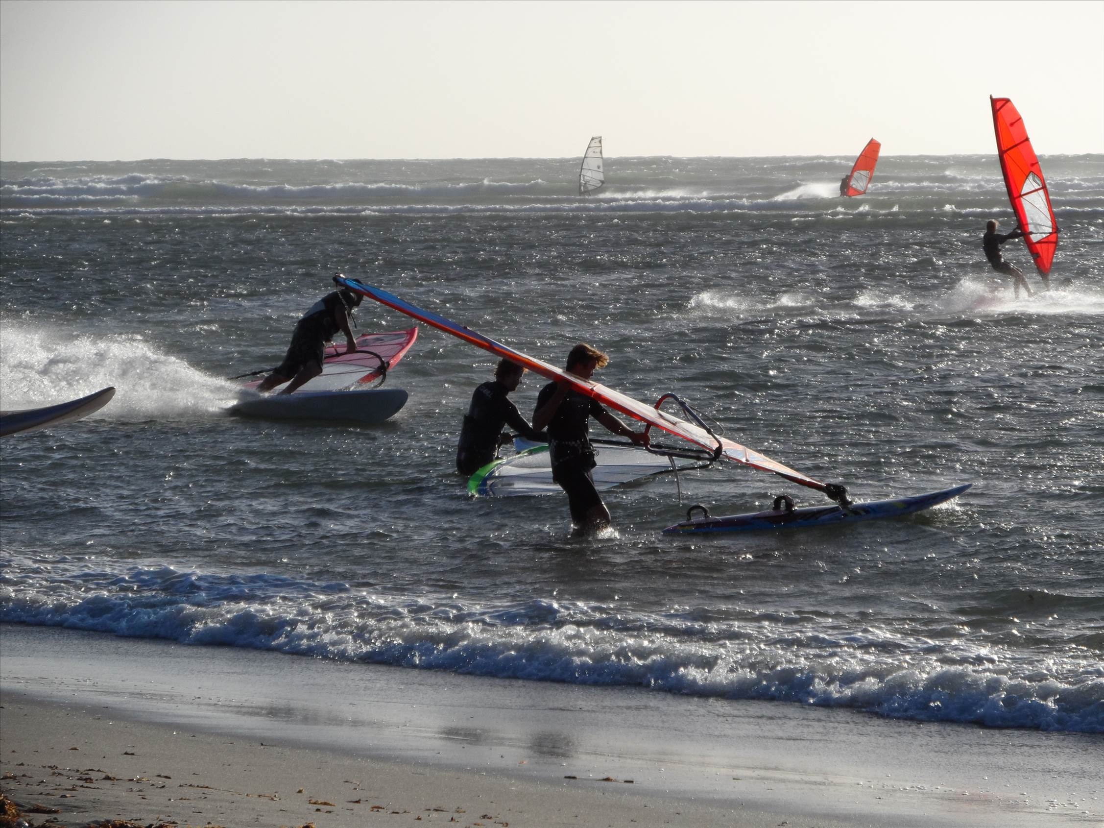 Coros action Jan 2014