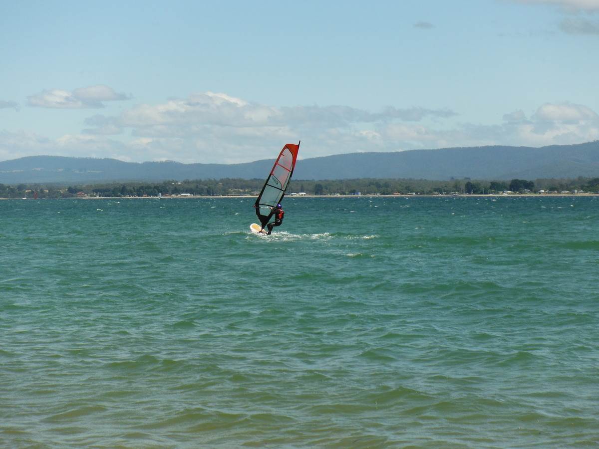 Wild Lagoon