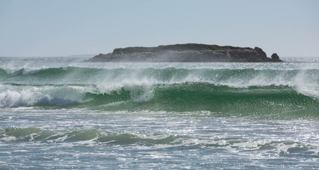West Coast Wave Classic