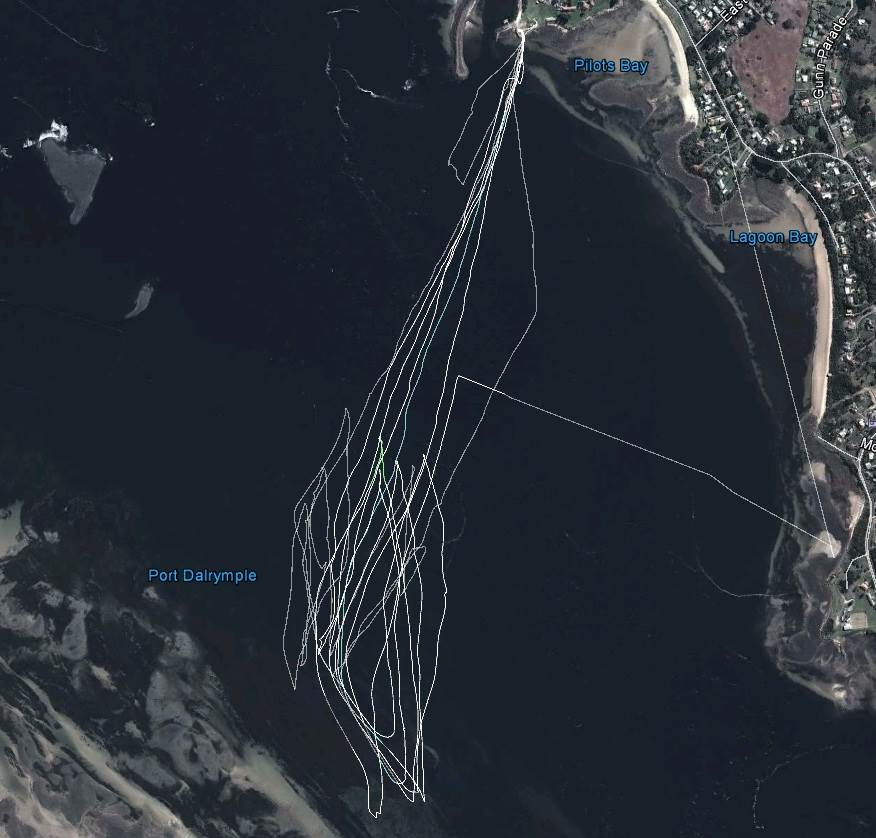 Bens Tamar Record Run