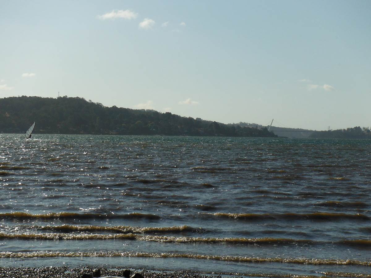 Paperbeach