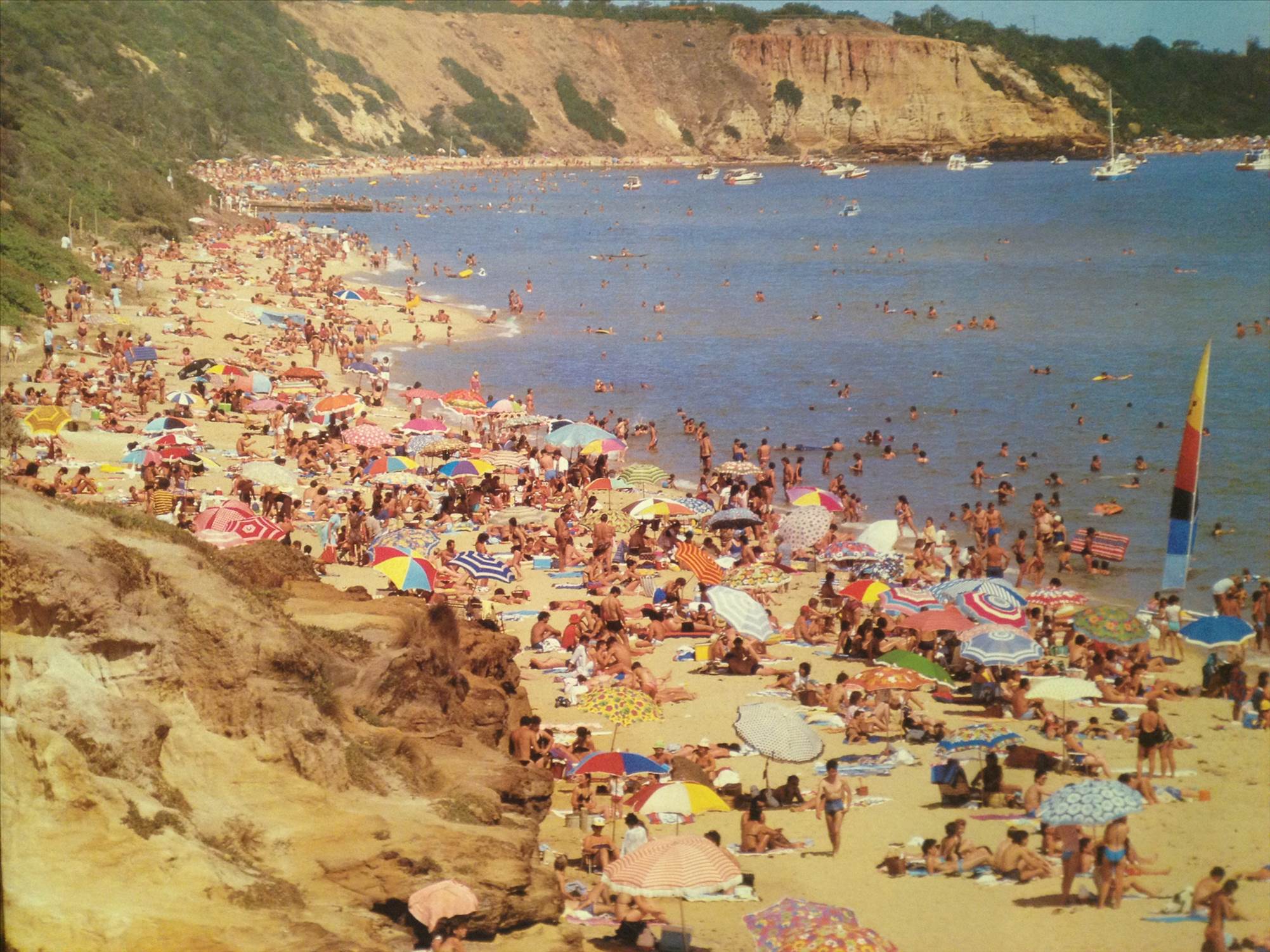 Sandringham and Brighton Beach Dendy Street