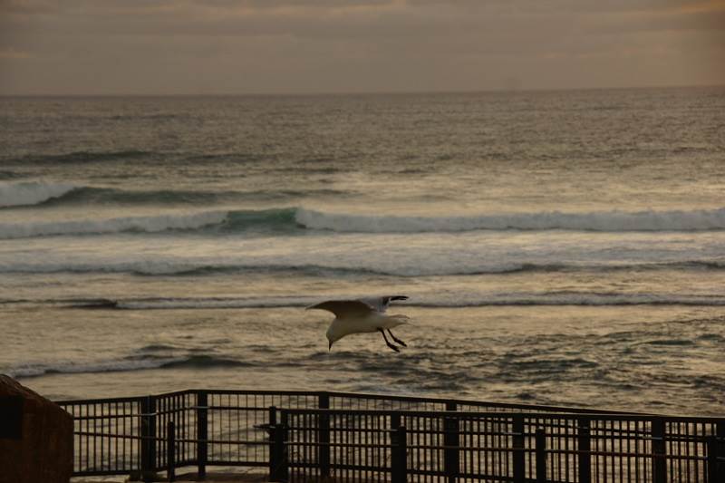 Long Wave Weekend