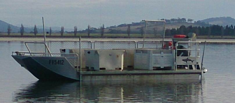 oyster day cremorne