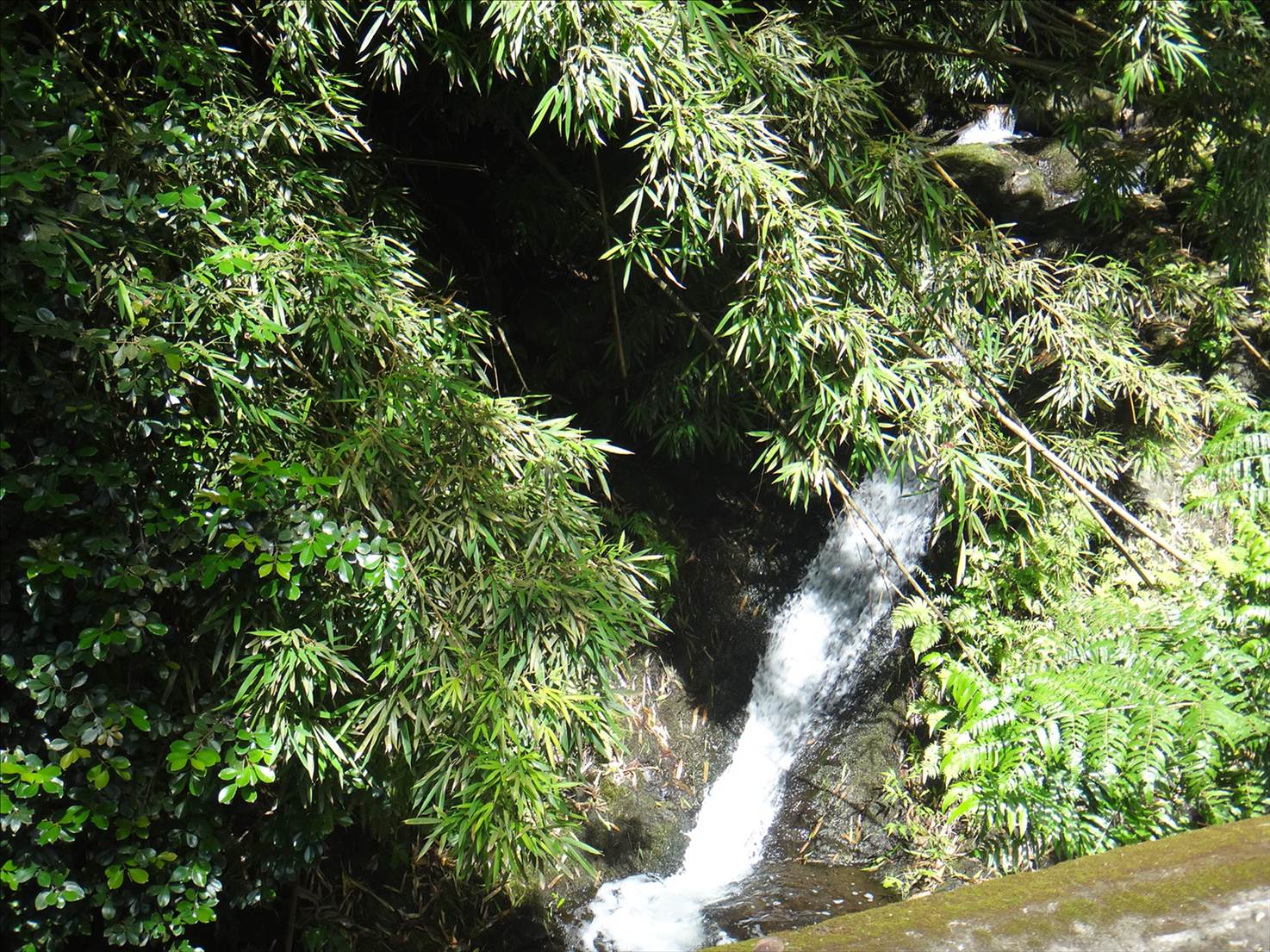 DSC00169