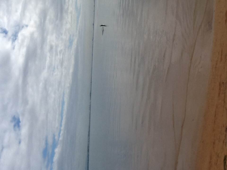 Wellington Point just now 11.25am
