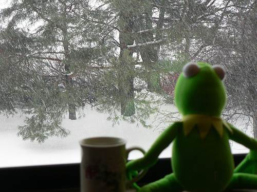 kermit