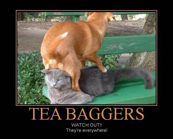 Tea e3e9bd 424026