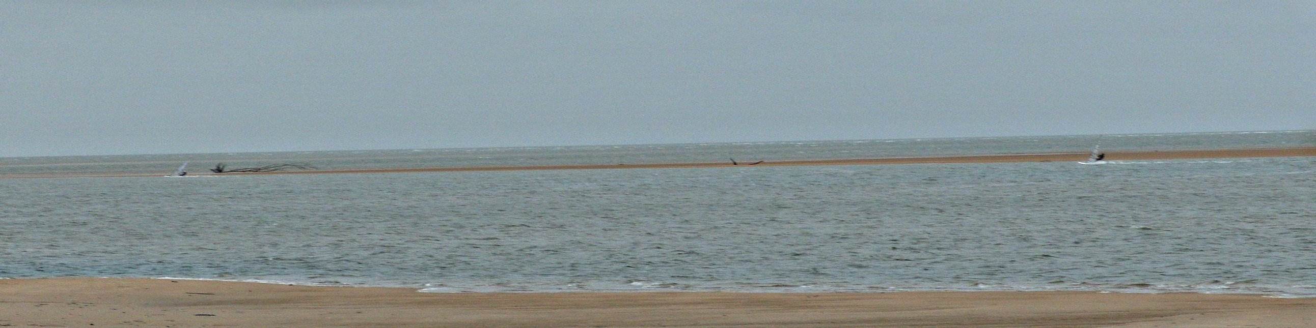 Taylors beach