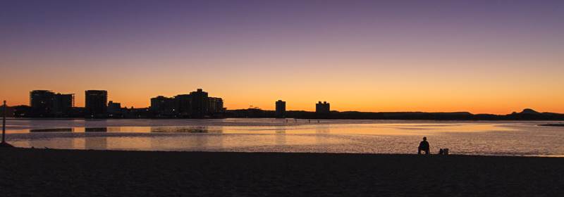 cotton tree