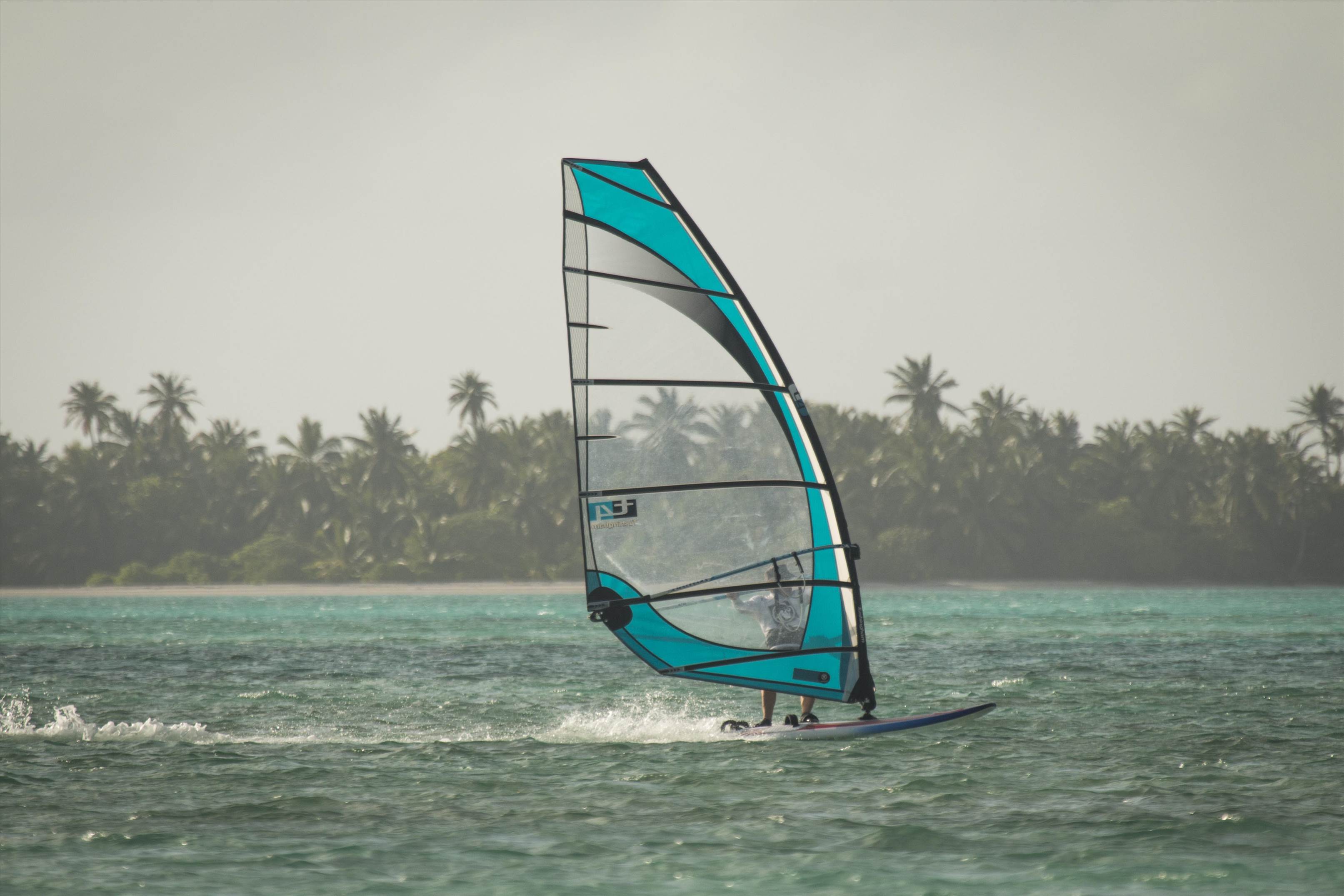 cocos 2014 iain day7 1