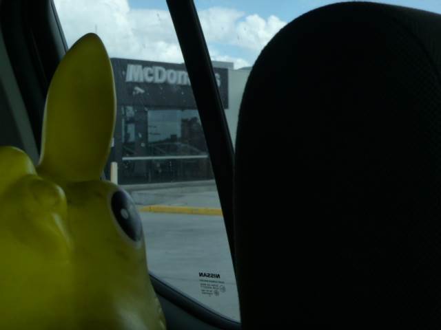 donkey mac