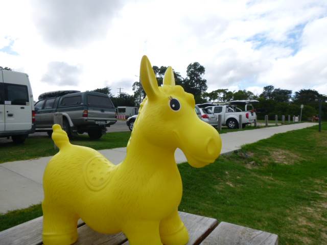 donkey 44