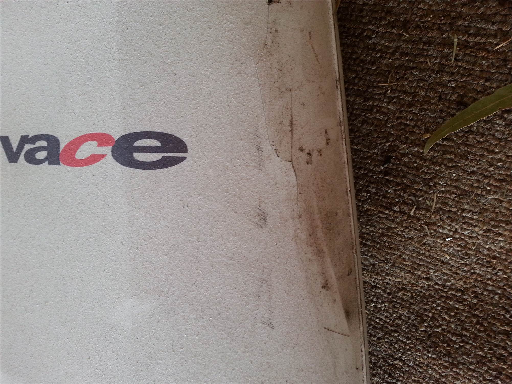 BIC Vivace 270