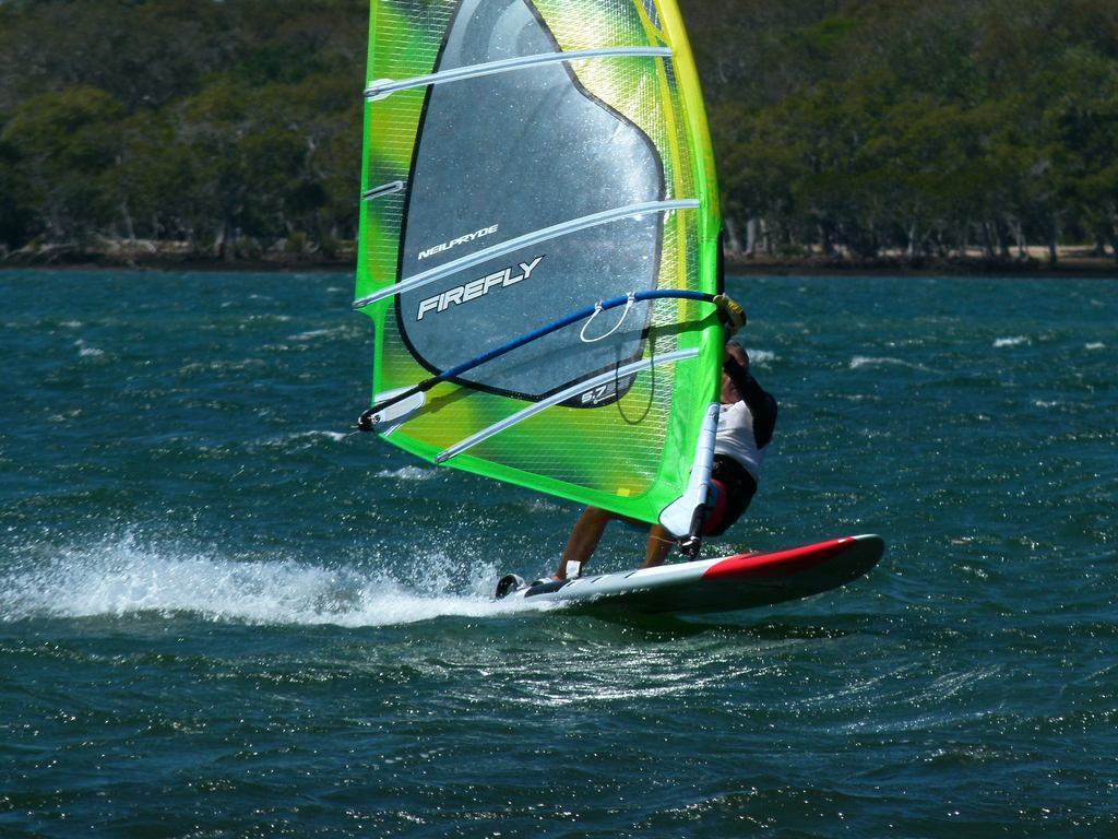 Shearwater, Gold Coast