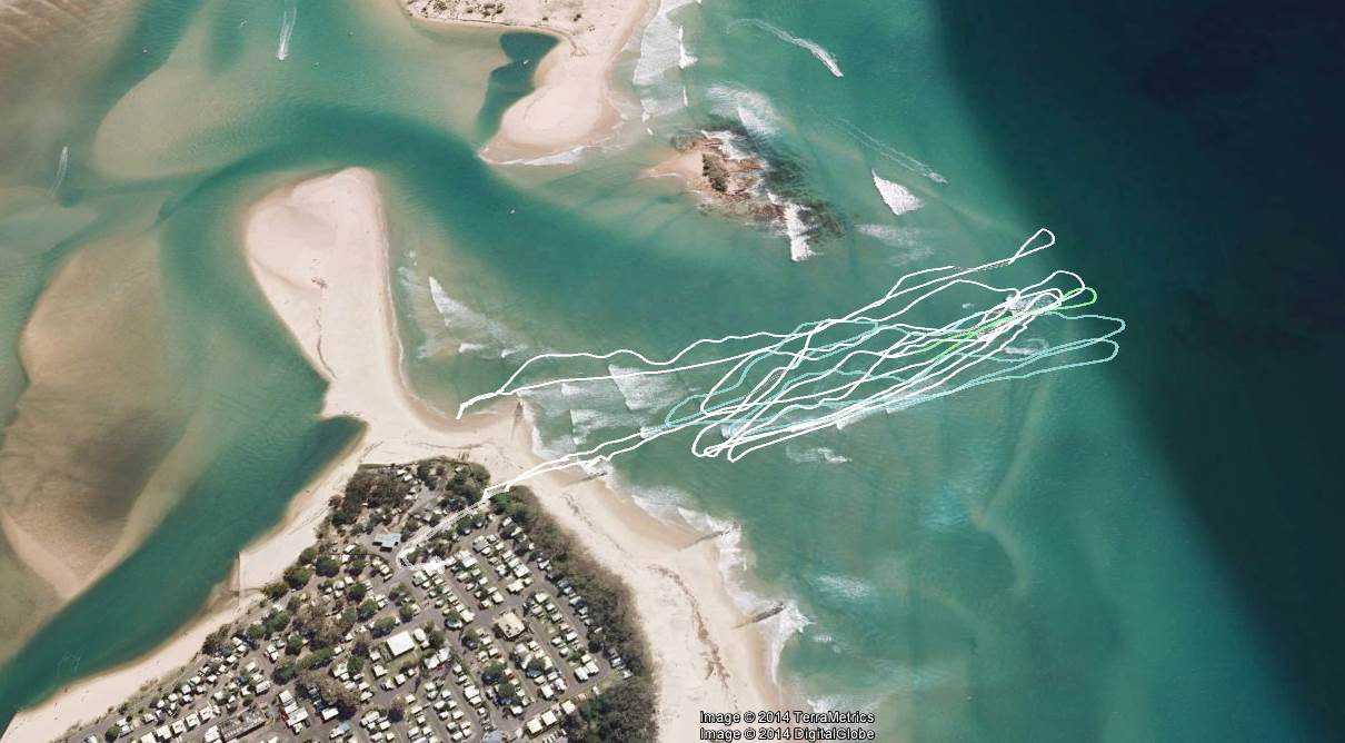 SUP Cotton tree