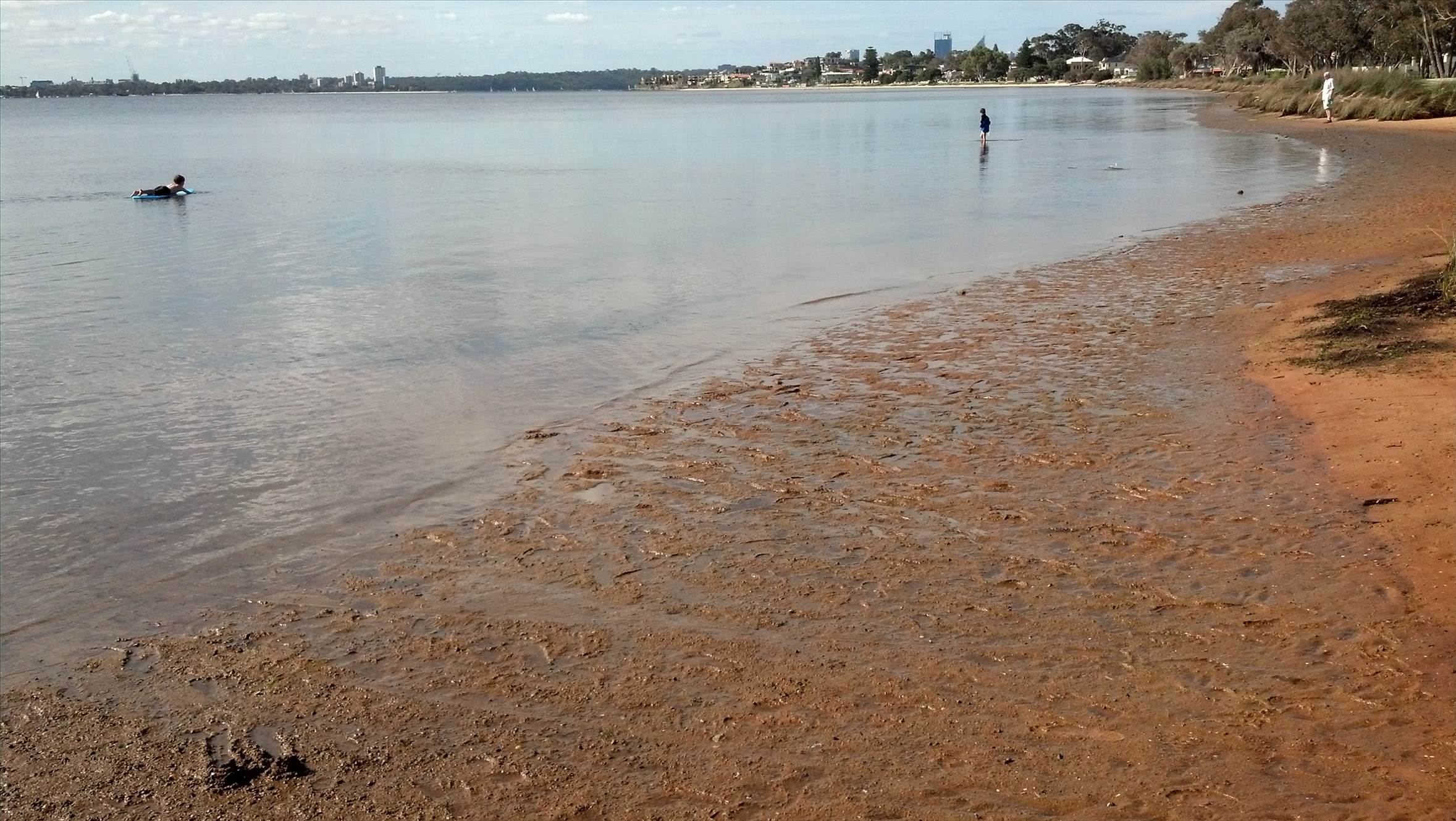 Swan River low tide
