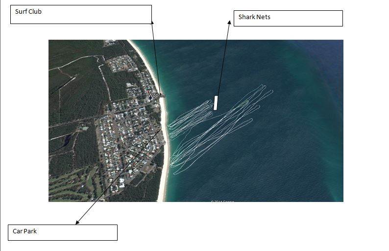 Bribie Tracks