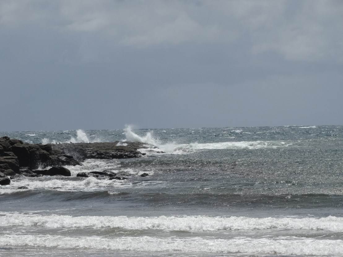 DSC02747