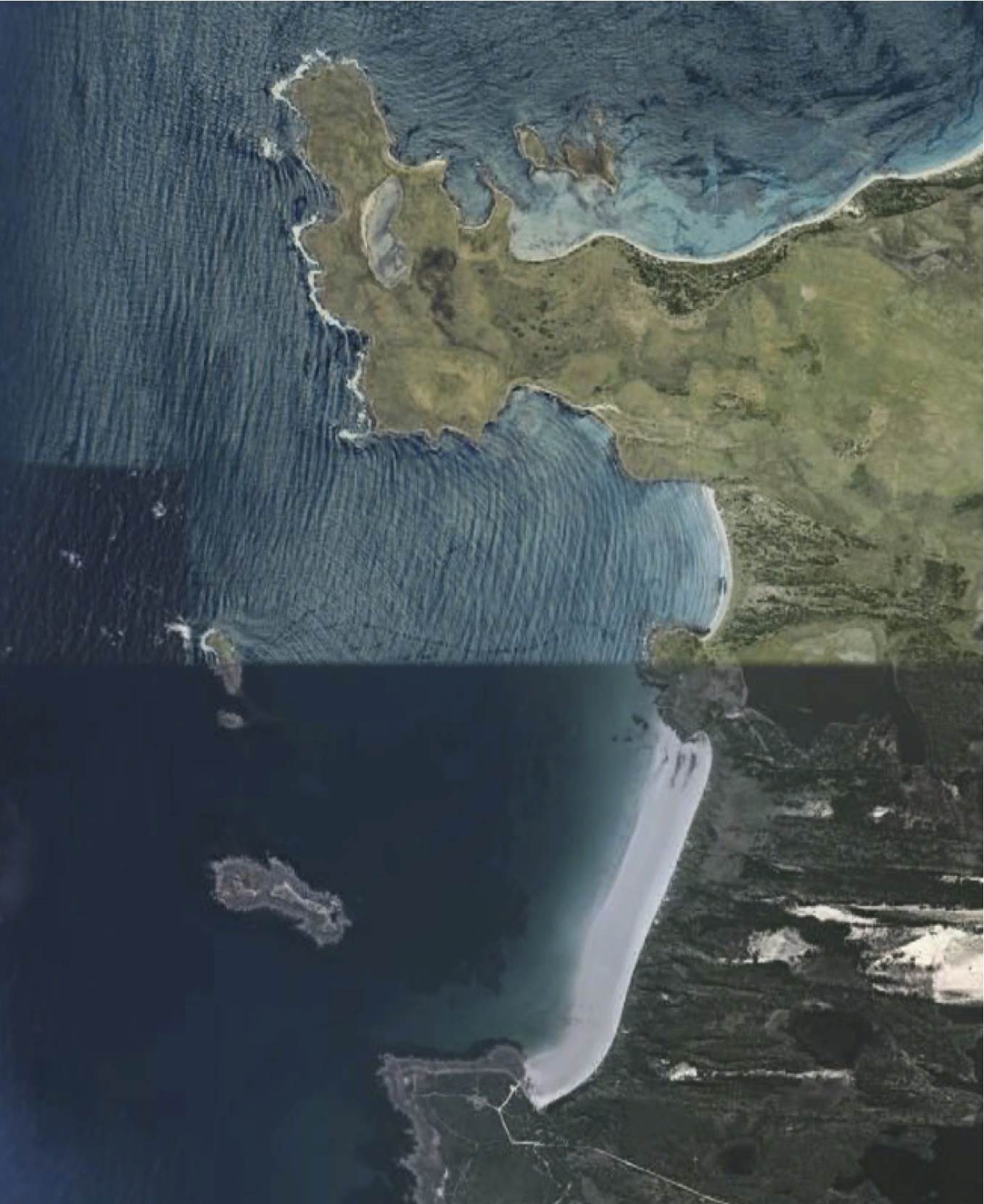 petal point map