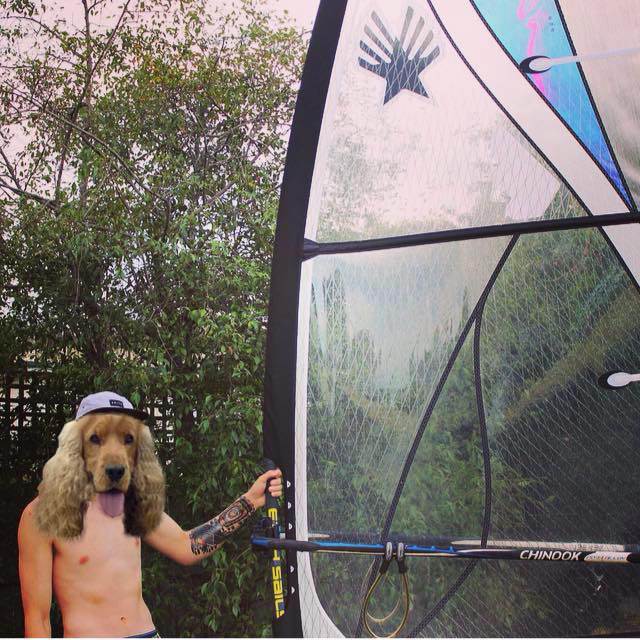 JORDO DOG