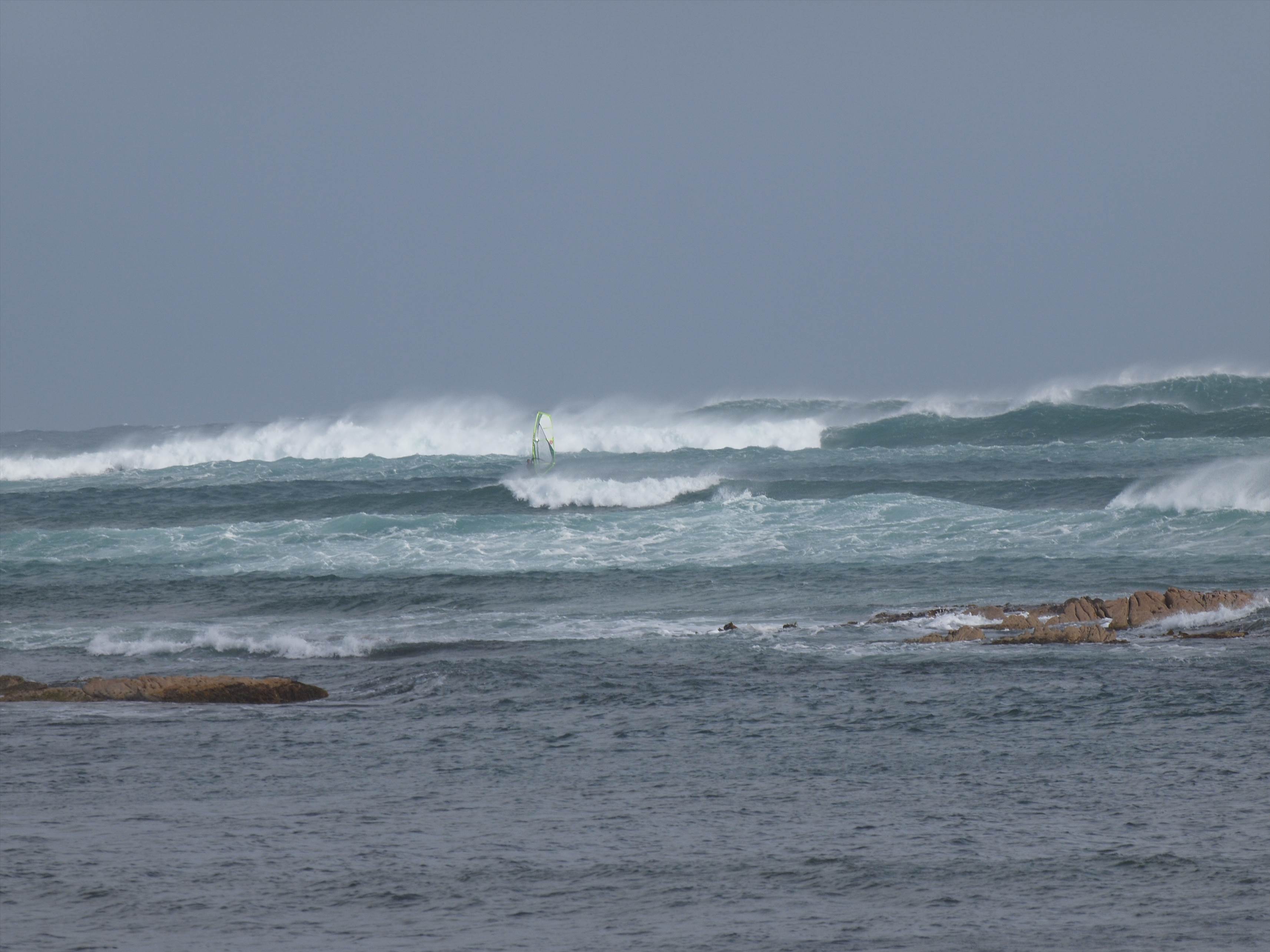 nw tassie