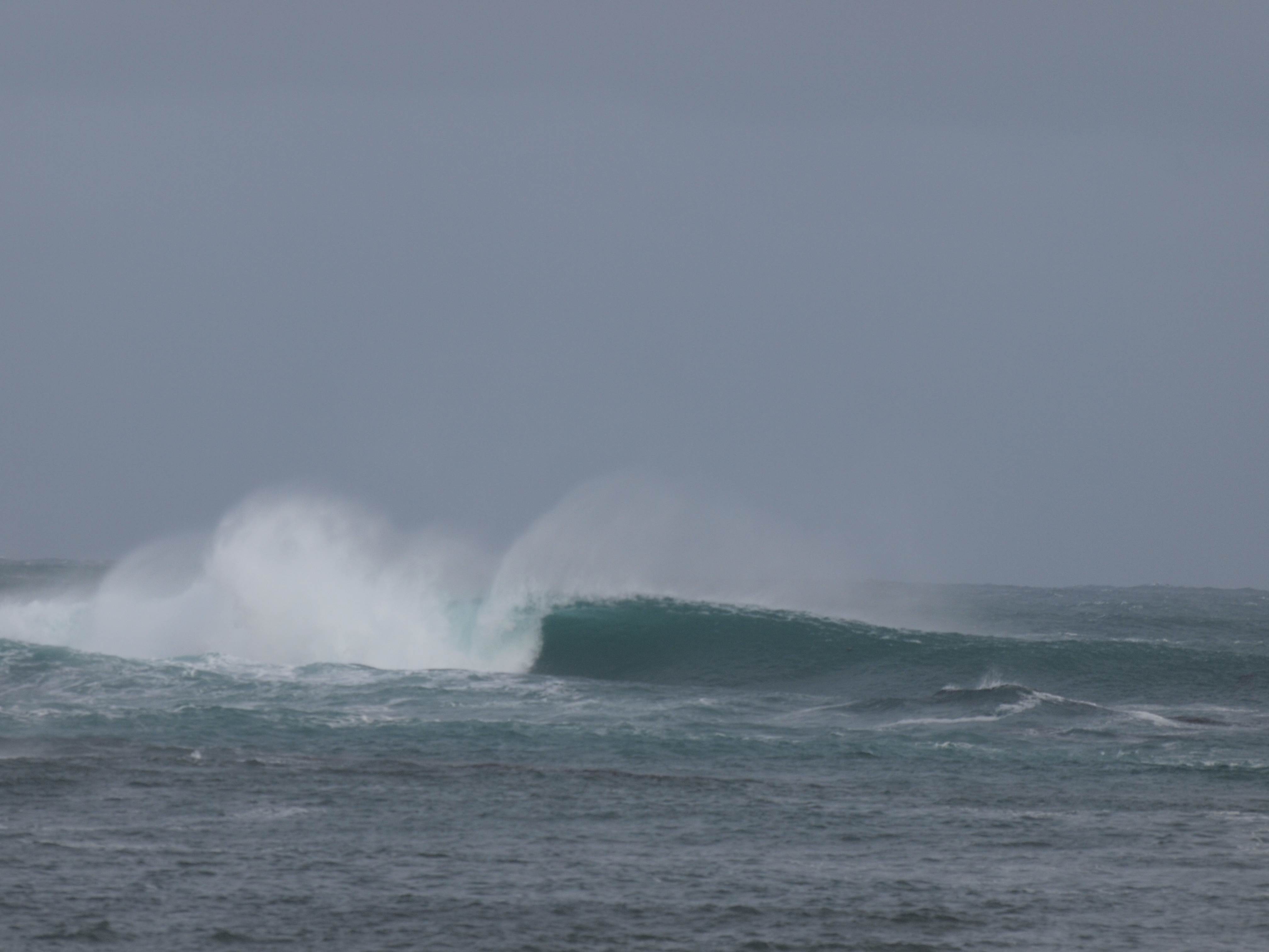 nw tassie