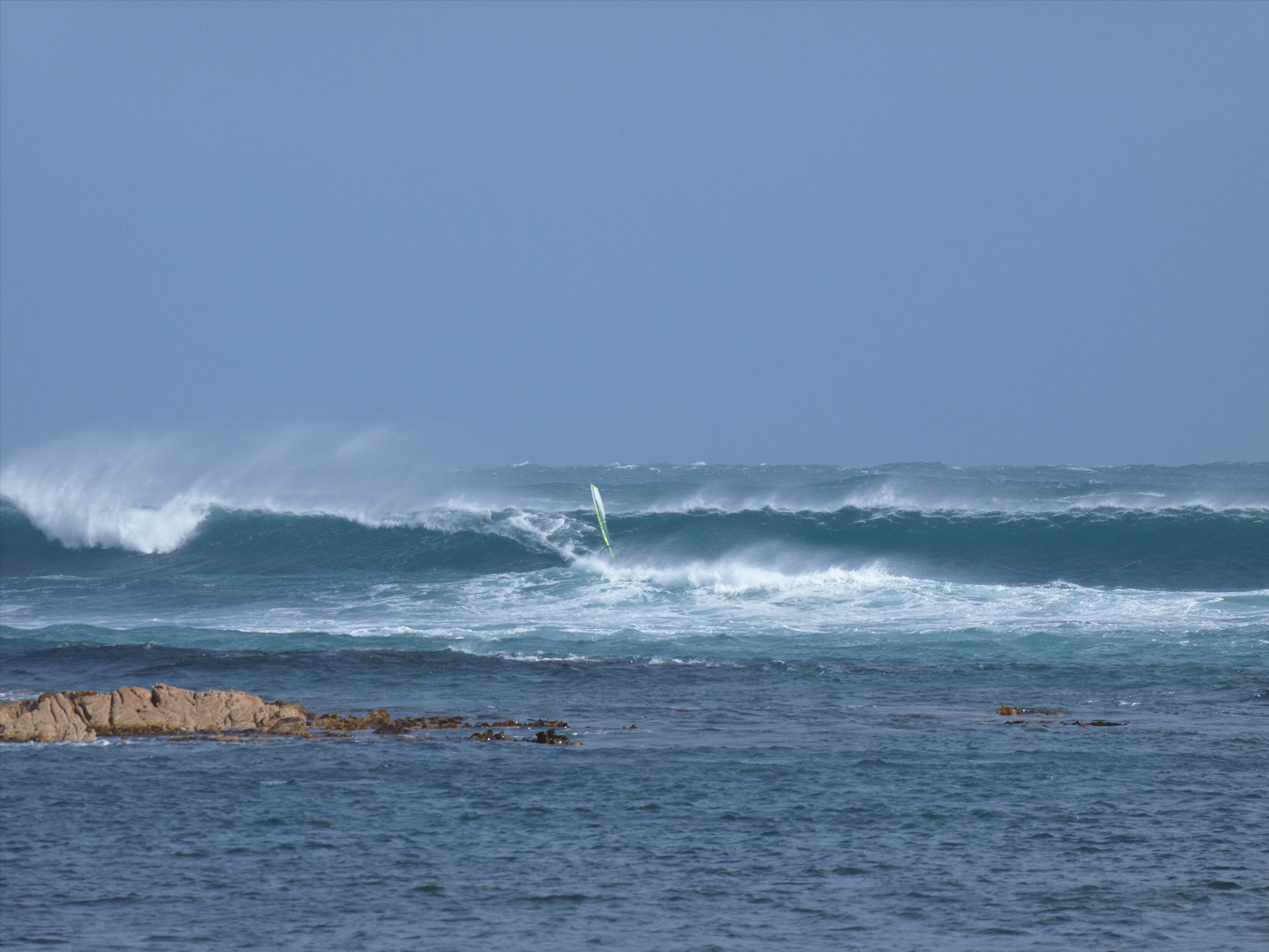 nw tassie