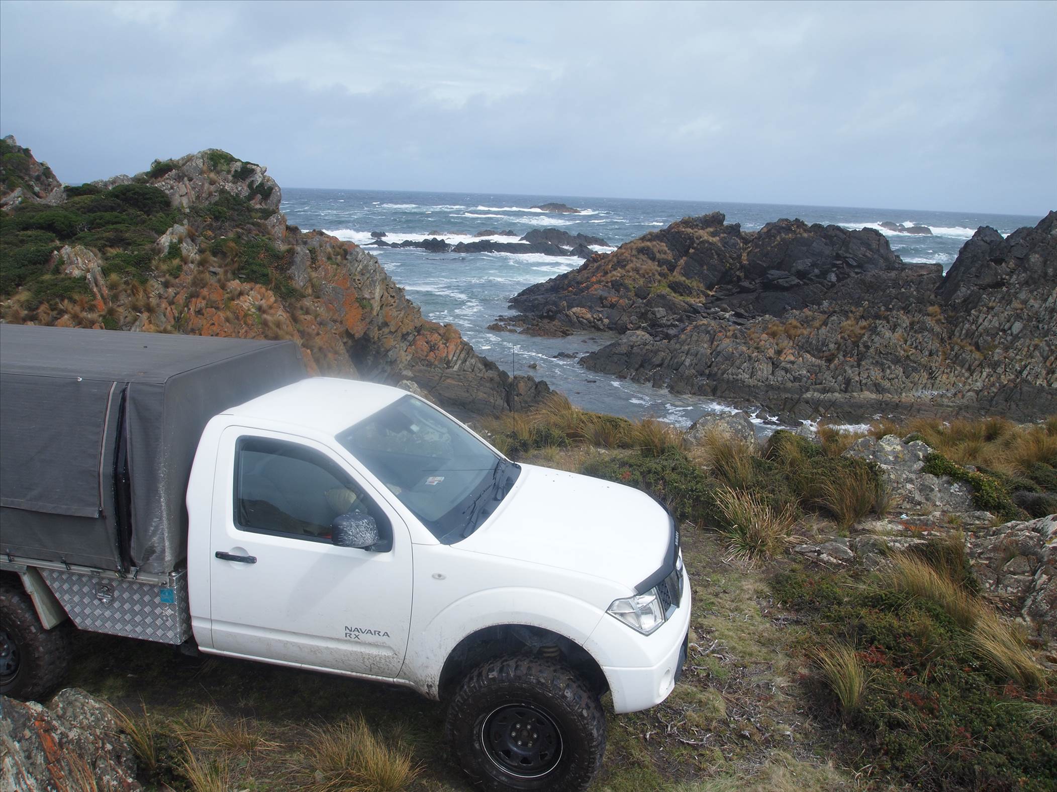 nw tassie