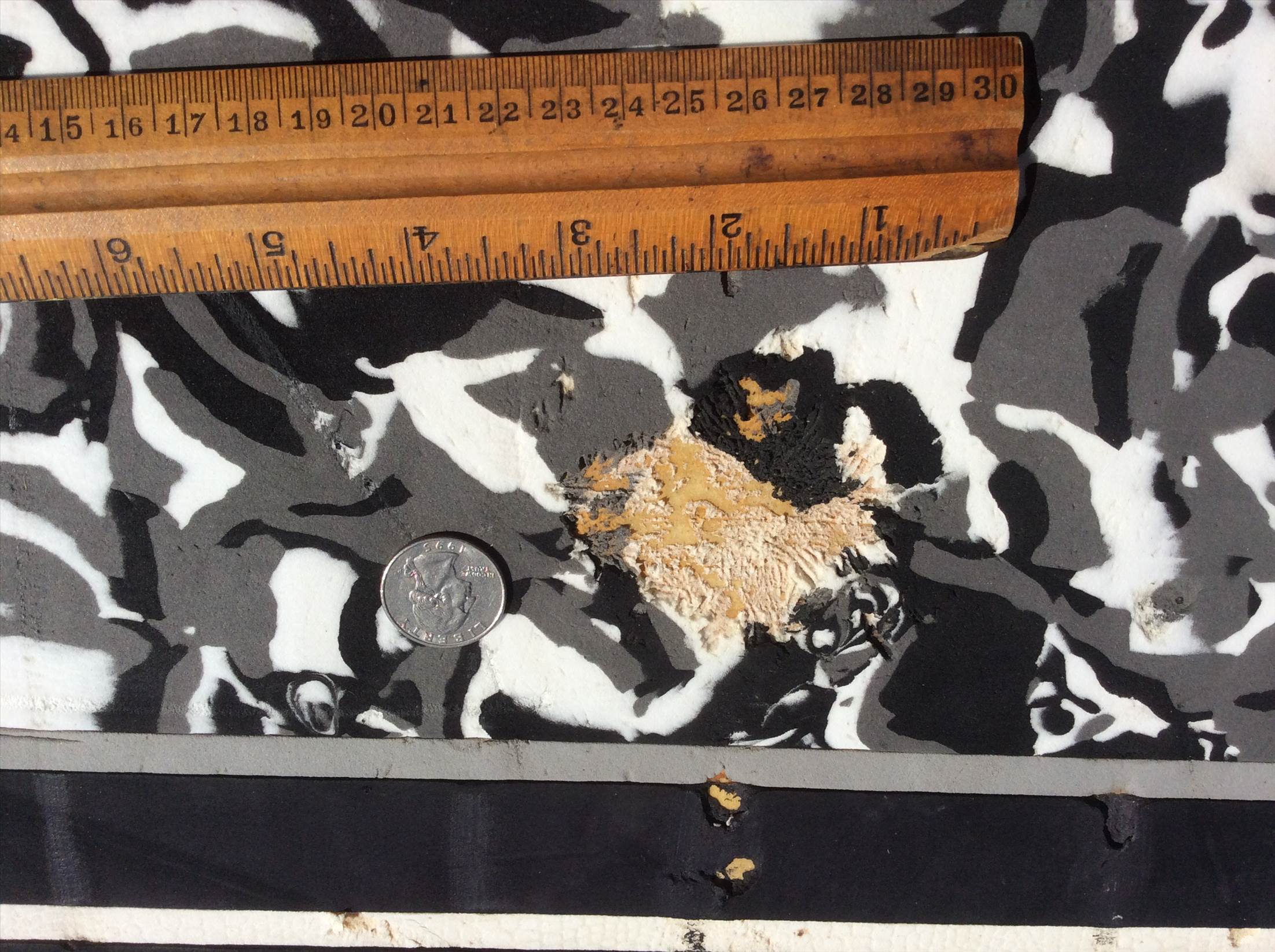Damaged Deck Pad