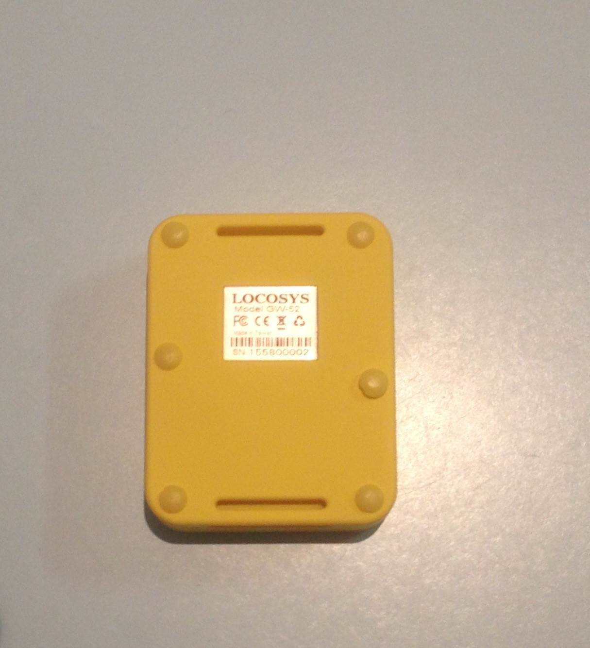 Back view