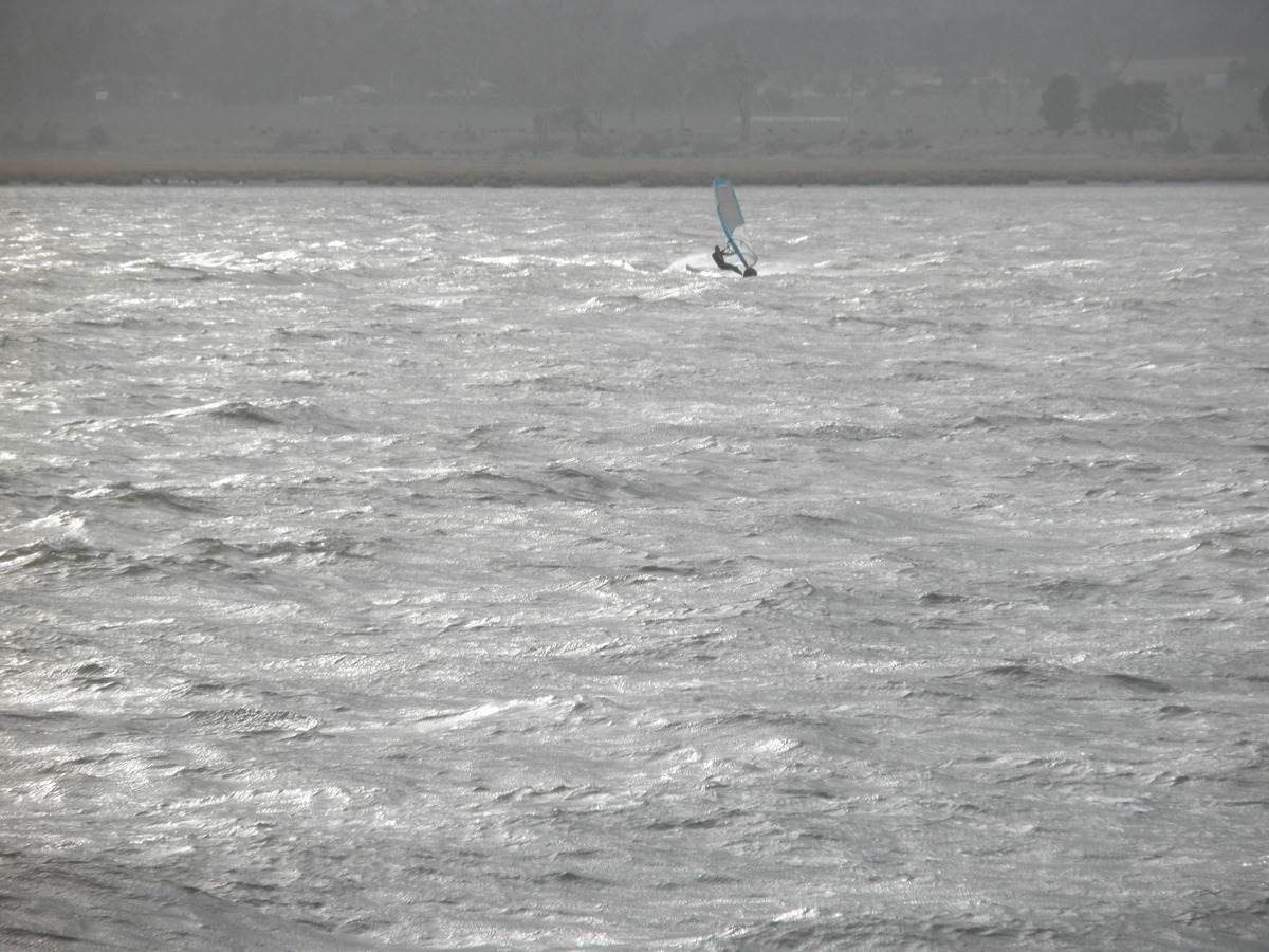 Windy Rosevears
