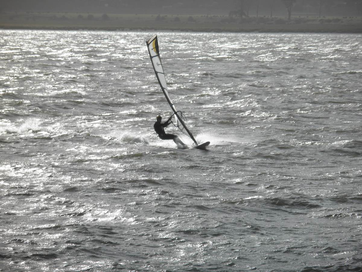 Windy Rosevears