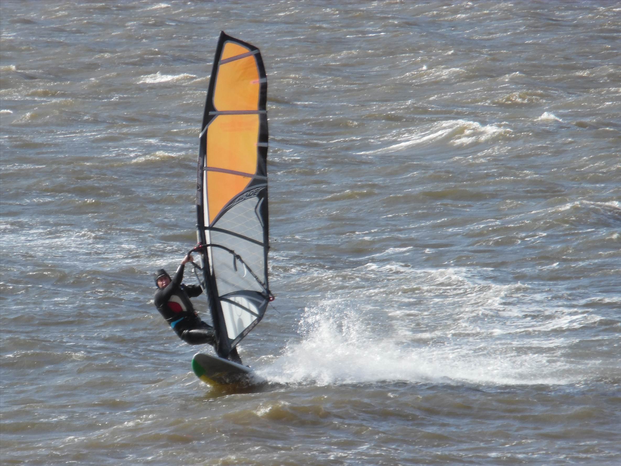 12 may 2015 rosevears 052