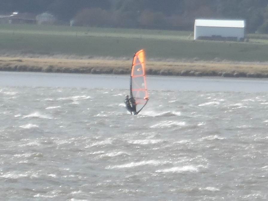 12 may 2015 rosevears 060