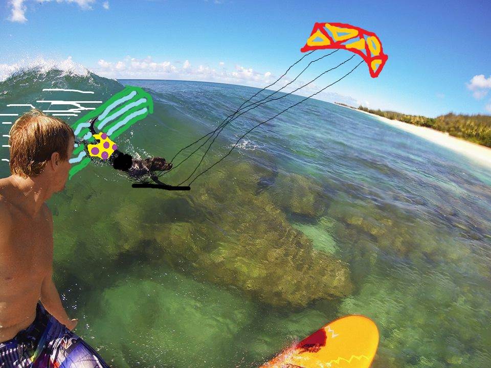 Dog Kitesurfing
