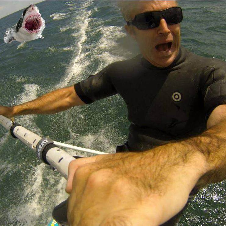 SHARK222