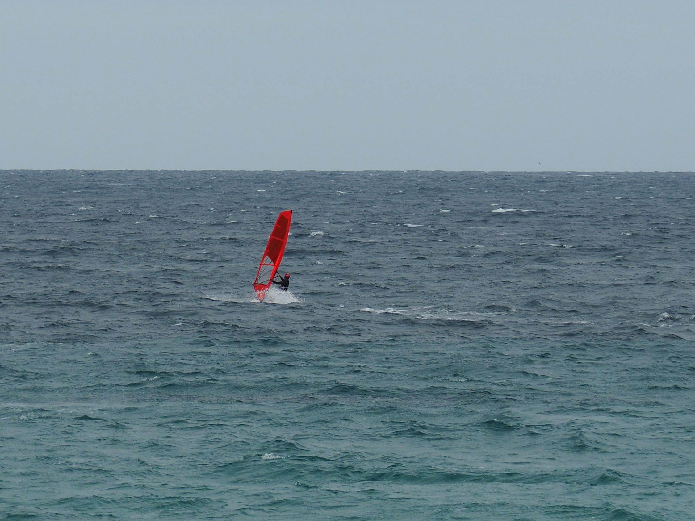 gill 1