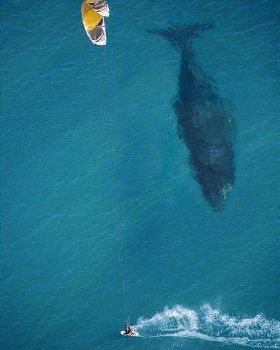 2012s most spine tingling photos so far 27