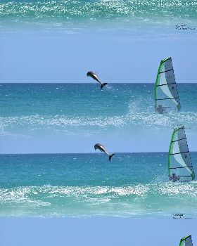 Marti Dolphin Encounter