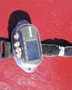 GPS Case