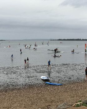 RQYS try windsurf