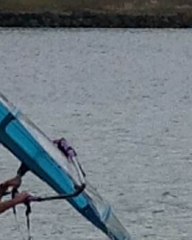 free windsurfer