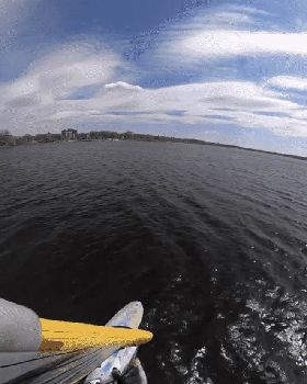 Carvstar Mount with Gopro Max