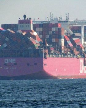 ONEAPus2-800x600