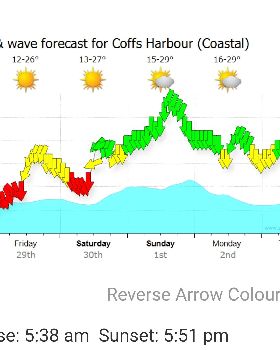 Woopi Forecast