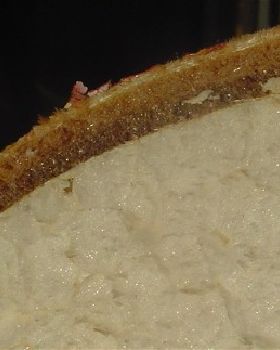 double sandwich 
